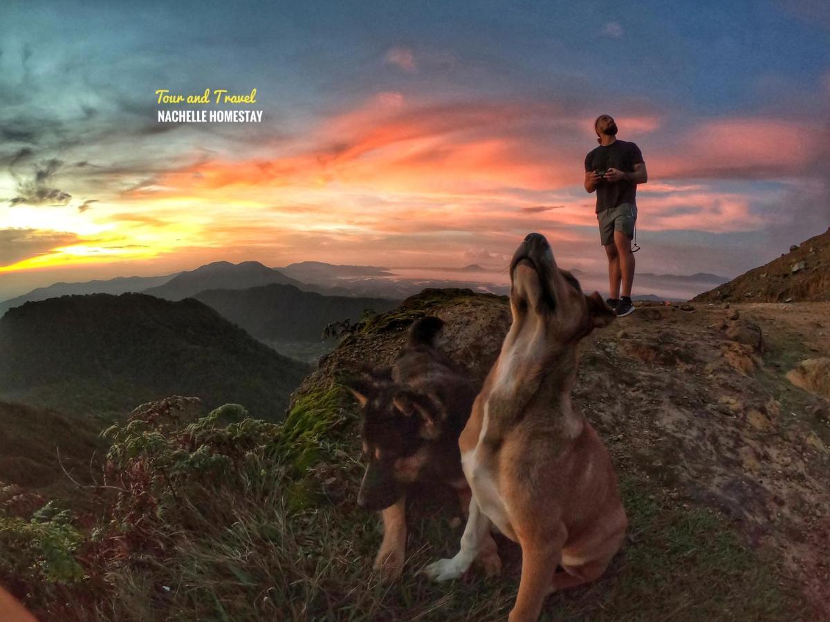 Nachelle Homestay Берастаги Экстерьер фото