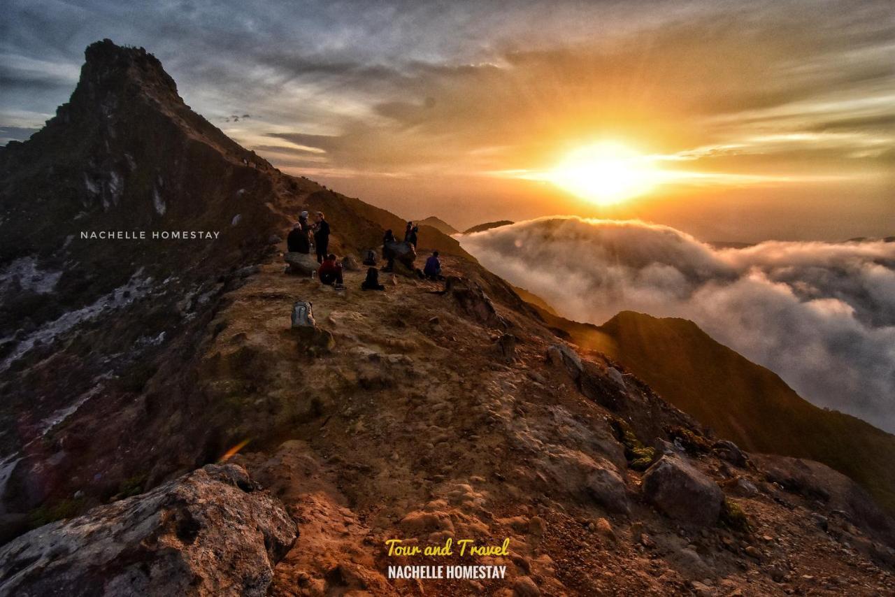 Nachelle Homestay Берастаги Экстерьер фото