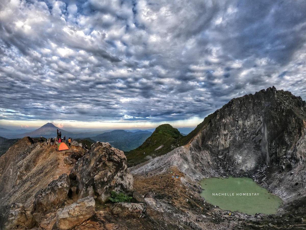 Nachelle Homestay Берастаги Экстерьер фото